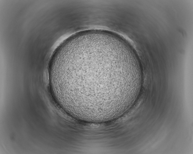 X0000114671271200911121325