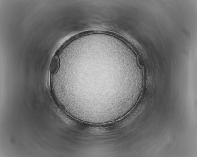 X0000114671272200911121325