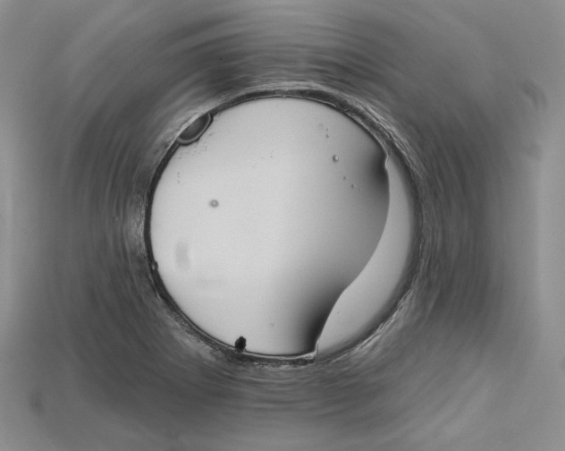 X0000114671273200911121325