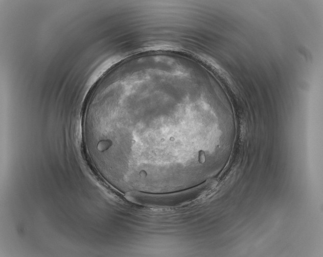 X0000114671274200911121325