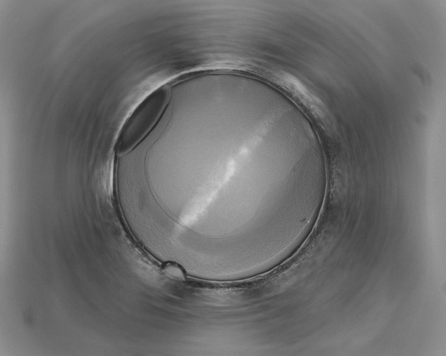 X0000114671276200911121325