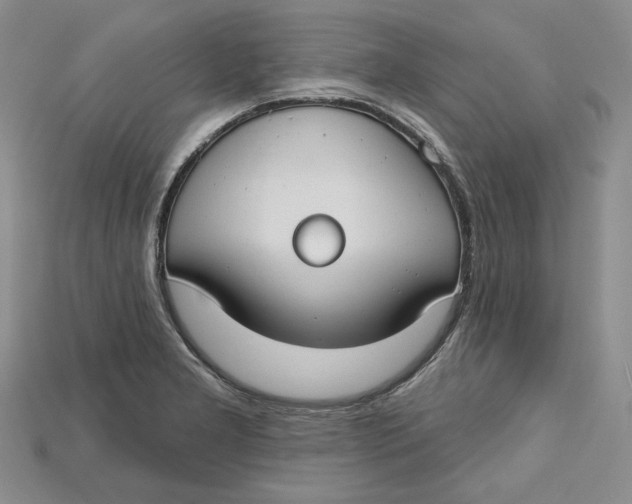 X0000114671277200911121325