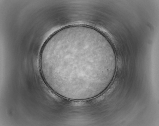 X0000114671278200911121325