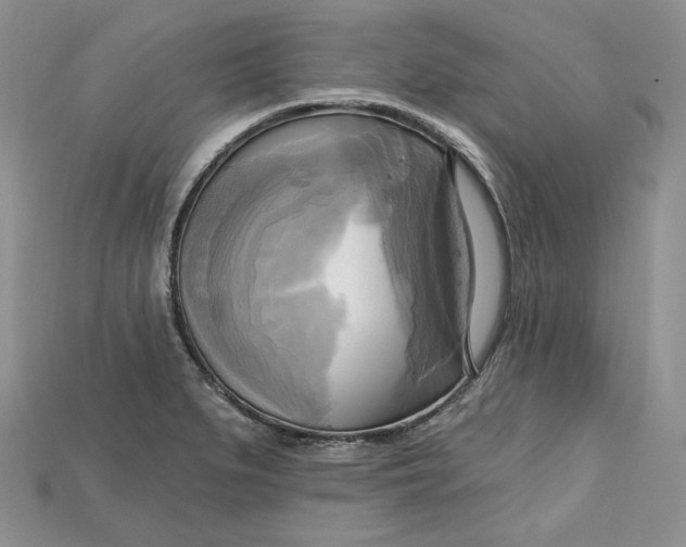 X0000114671279200911121325