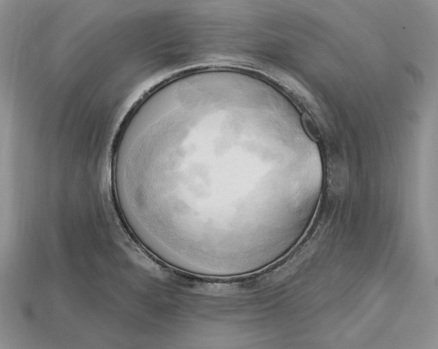 X0000114671280200911121325