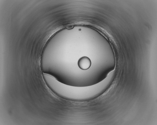 X0000114671281200911121325