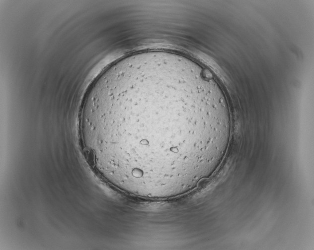 X0000114671282200911121325