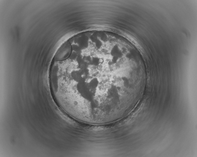 X0000114671283200911121325