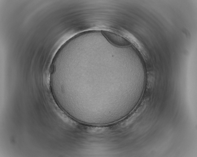 X0000114671284200911121325