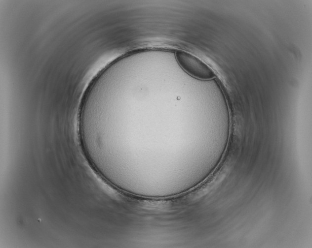 X0000114671285200911121325