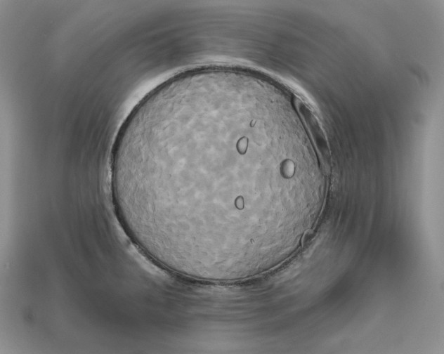 X0000114671287200911121325