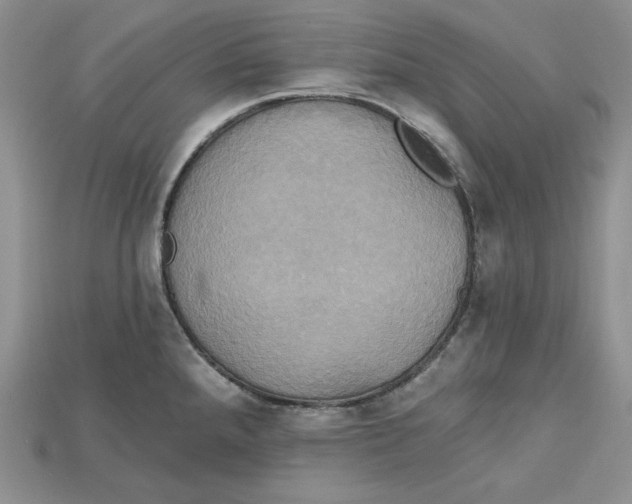 X0000114671288200911121325