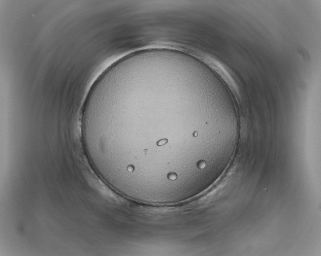 X0000114671292200911121325