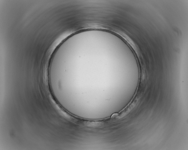 X0000114671293200911121325