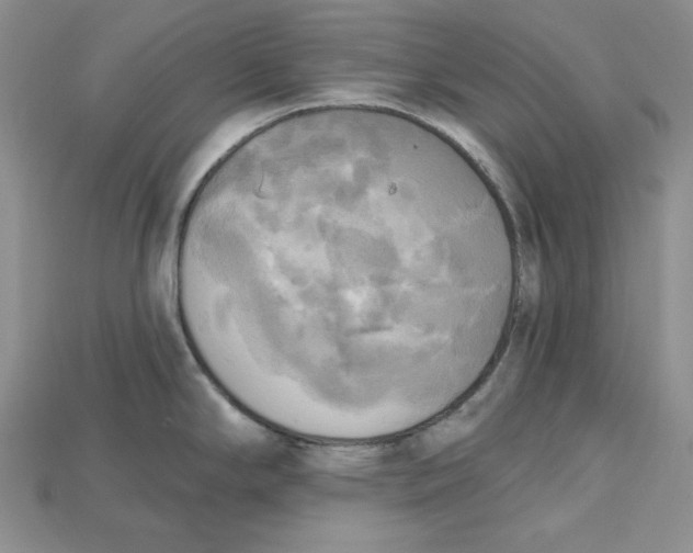 X0000114671294200911121325