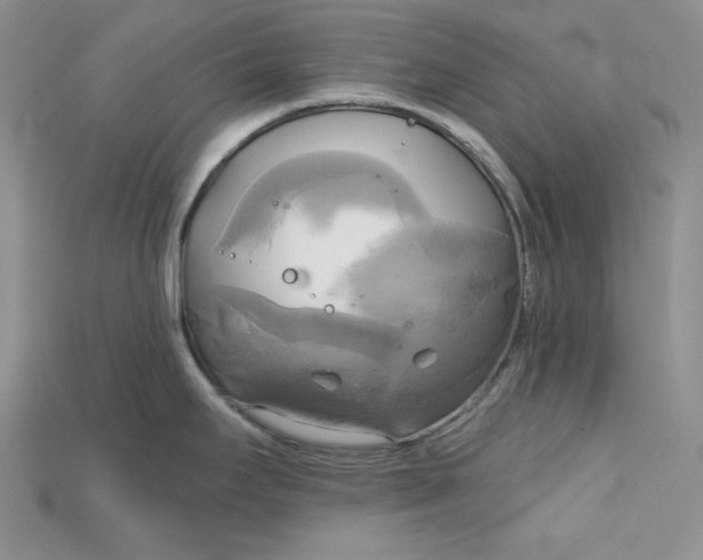 X0000114671295200911121325