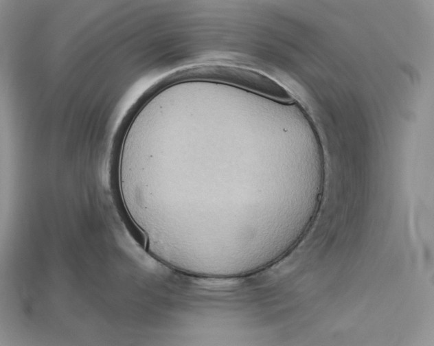 X0000114671296200911121325