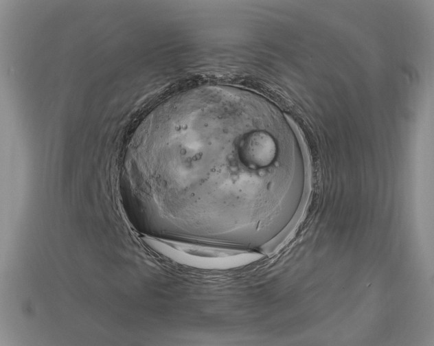 X0000114671297200911121324