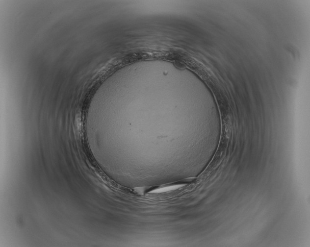 X0000114671298200911121324