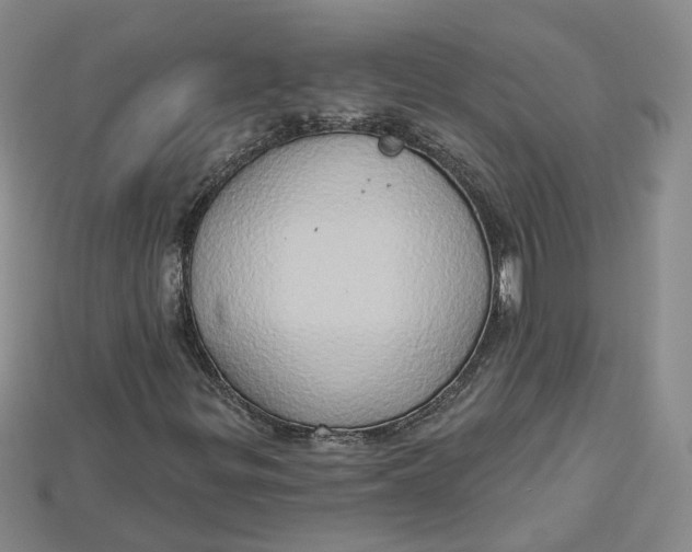 X0000114671299200911121324