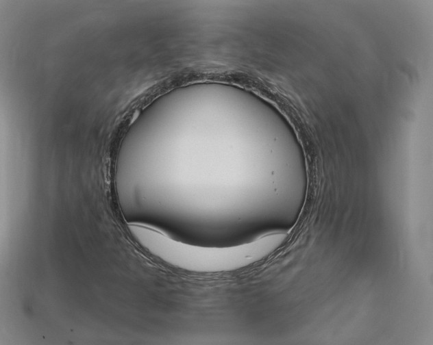 X0000114671301200911121324