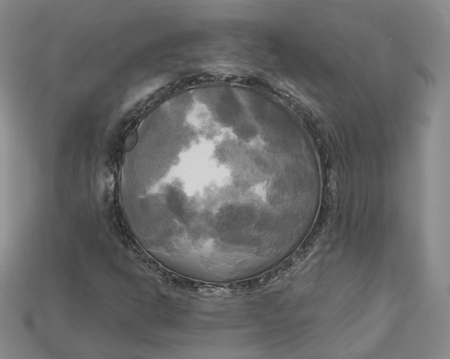 X0000114671302200911121324