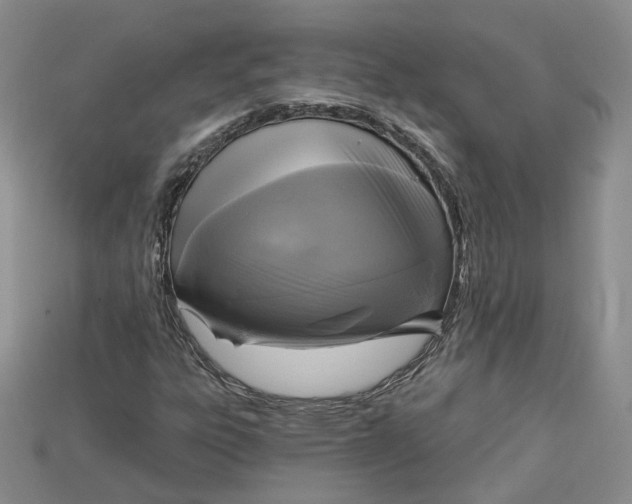 X0000114671303200911121325