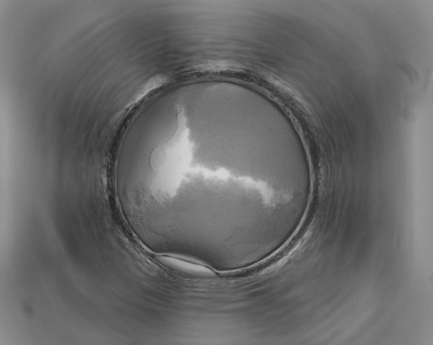 X0000114671305200911121325