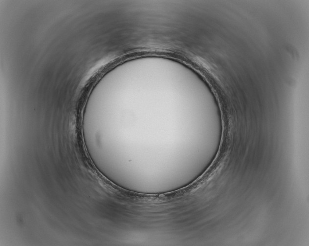 X0000114671307200911121325