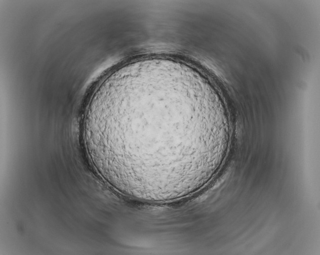 X0000114671309200911121325