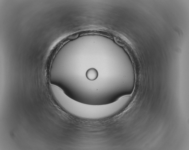 X0000114671310200911121325