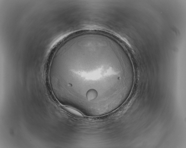 X0000114671311200911121325