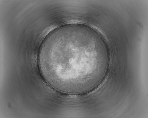 X0000114671313200911121325