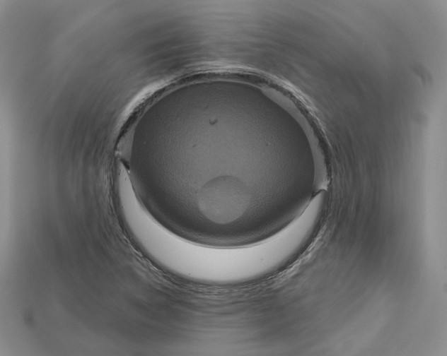 X0000114671314200911121325