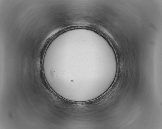 X0000114671315200911121325