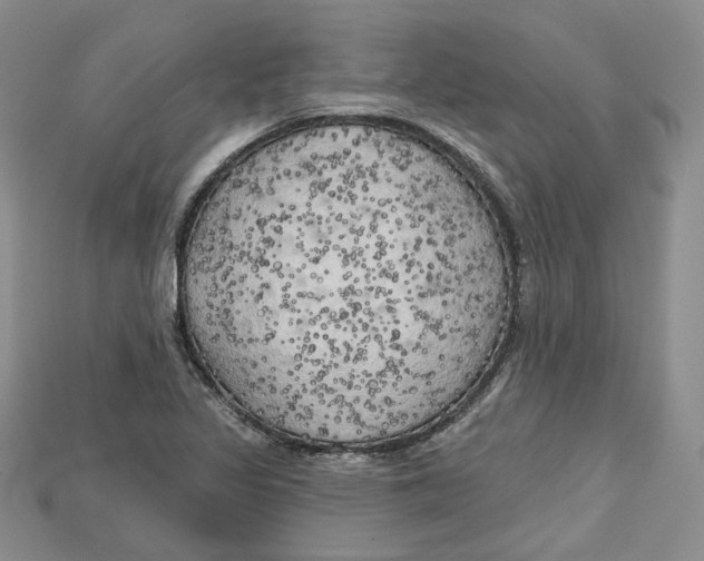 X0000114671317200911121325