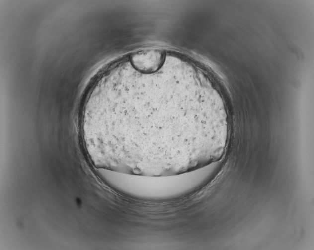 X0000114671318200911121325