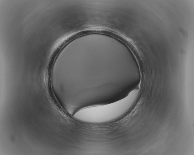 X0000114671319200911121325