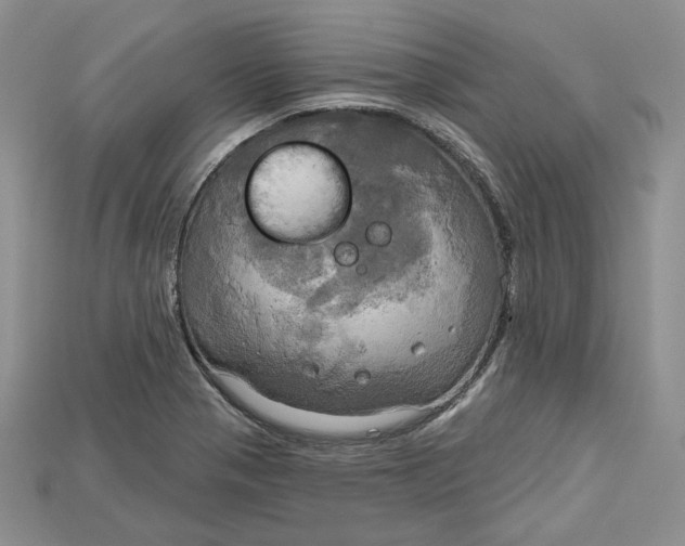 X0000114671321200911121325