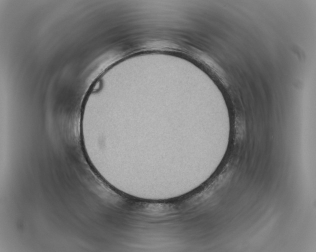 X0000114671322200911121325