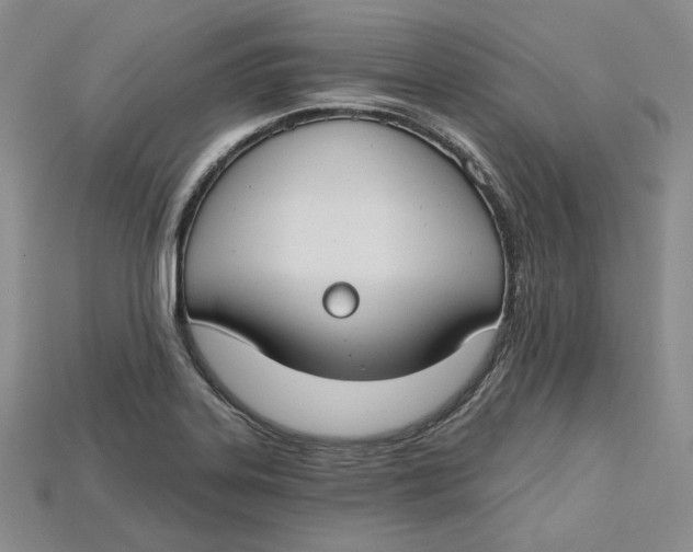 X0000114671323200911121325