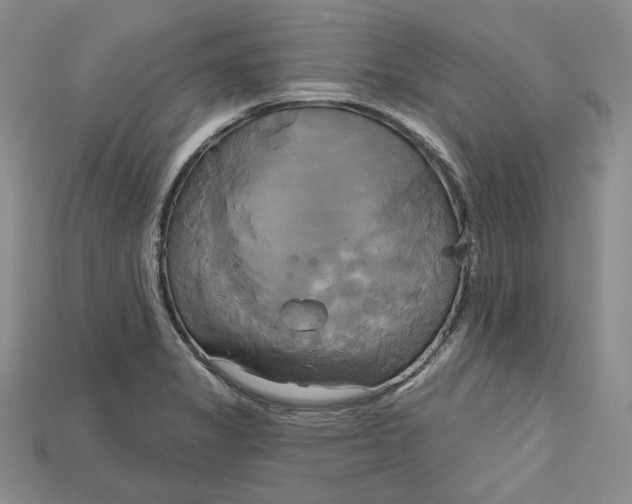 X0000114671325200911121325