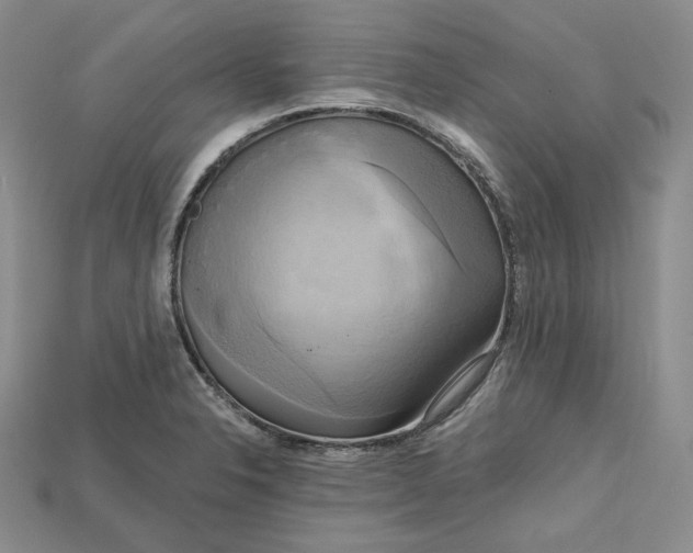 X0000114671326200911121325