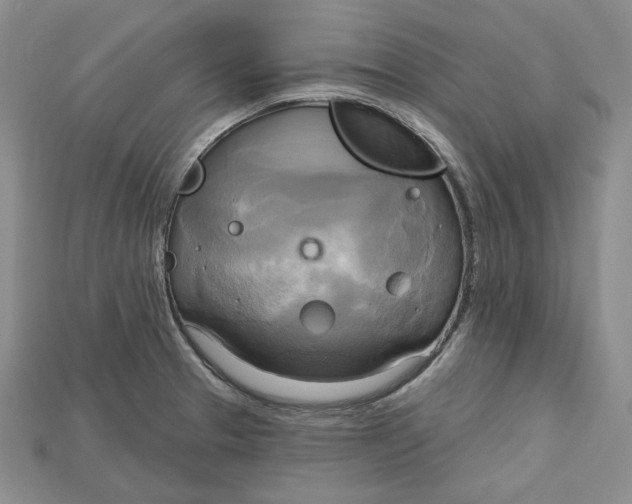 X0000114671329200911121325