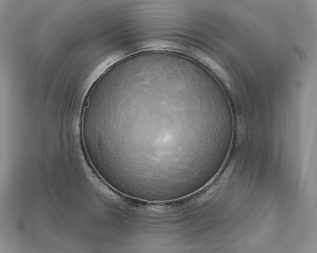 X0000114671330200911121325