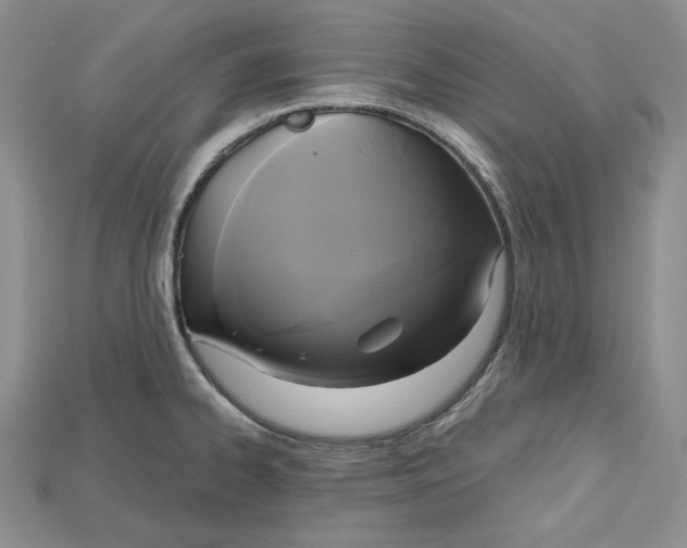 X0000114671334200911121325