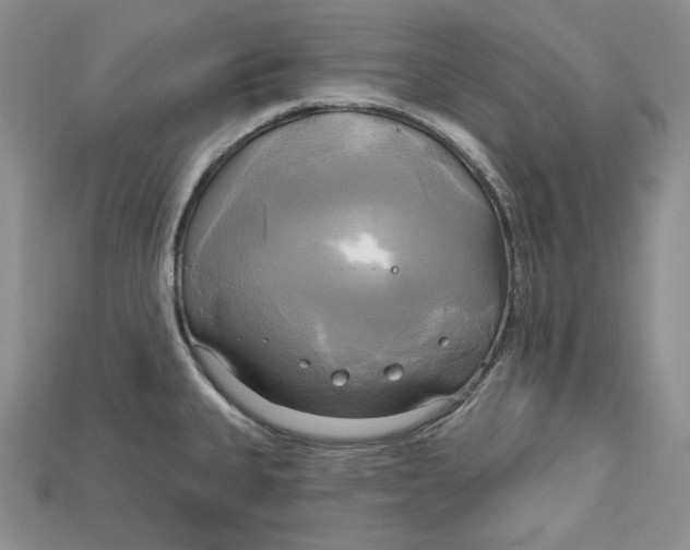 X0000114671335200911121325