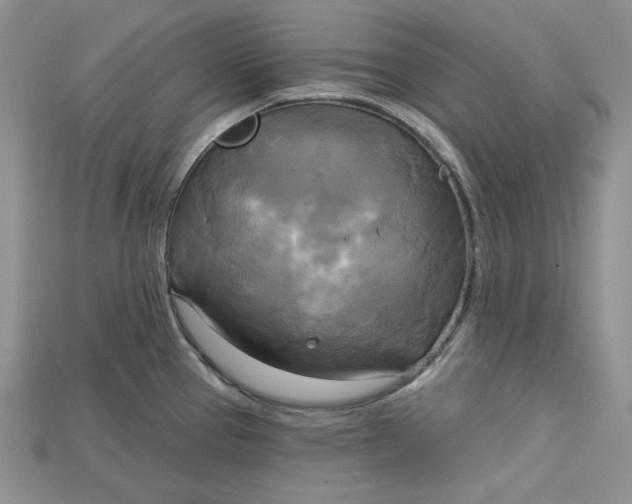 X0000114671337200911121325