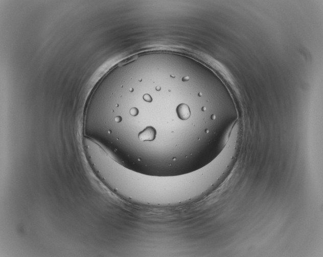 X0000114671338200911121325