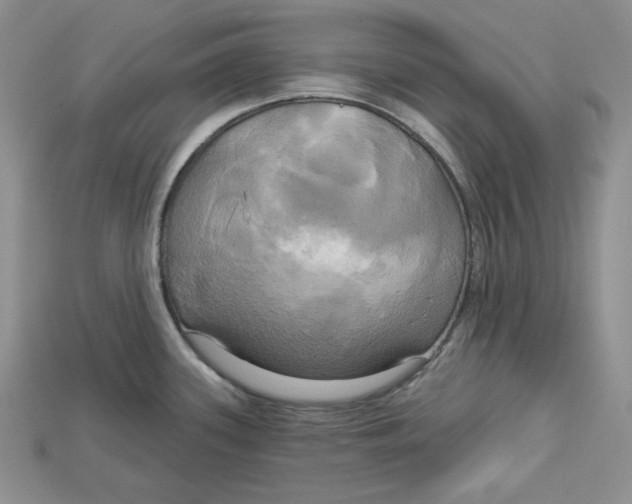 X0000114671339200911121325